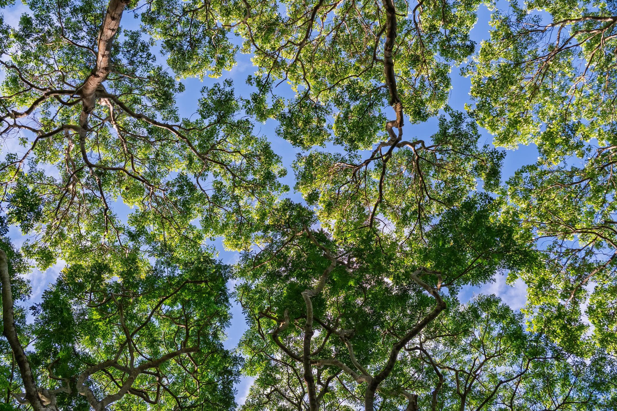 Credentials and documentation background