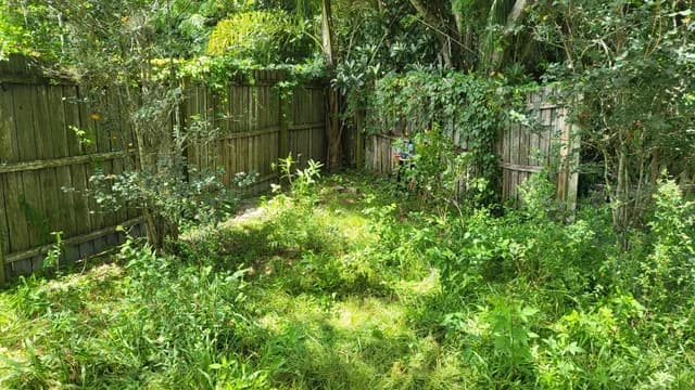 Seasonal overgrowth cleanup area before recurring yard maintenance
