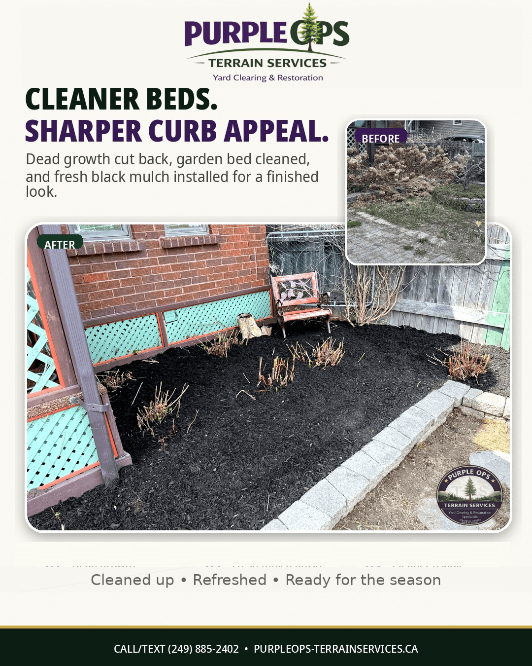 Before and after front bed cleanup with dead growth removed and black mulch